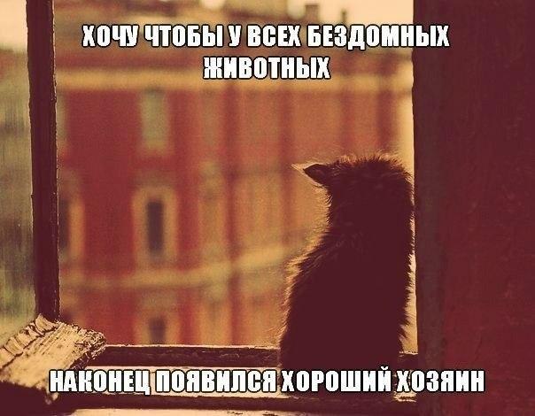    - 18  2016  13:19