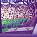  , , 32  -  11  2016   Amateur Photographer-Orxan Abdullazade