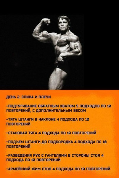 Тренировка на массу от Арнольда Шварценеггера.#SPORT_тренировки@sports_is_life - 2