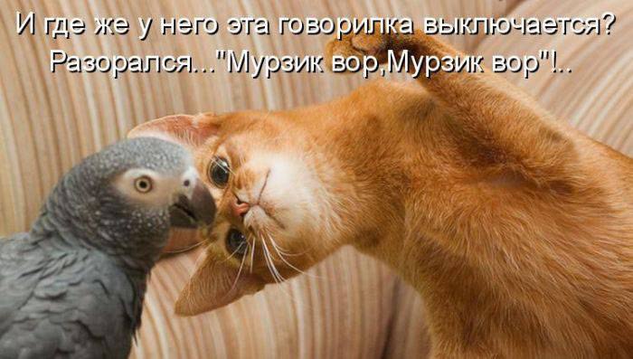 ��� ���� - 18 ������� 2015 � 04:03