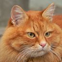 ���� ����, ������, 59 ��� - ��������� 5 ������� 2016 � ������ ���� ����������