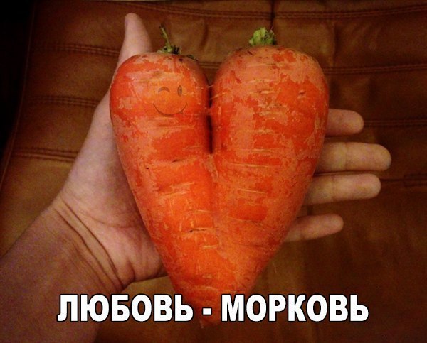   - 1  2016  13:01