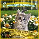 ���� Well, �����-���������, 52 ���� - ��������� 30 ������� 2015 � ������ �������� ��������