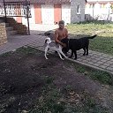 ���� �������, ����, 42 ���� - ��������� 1 ������� 2016