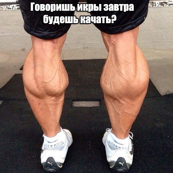 ����� ������ - ����� ��������, �� ����� �������! ����� ������ - ���������� ���� ��� ����������� �� ...
