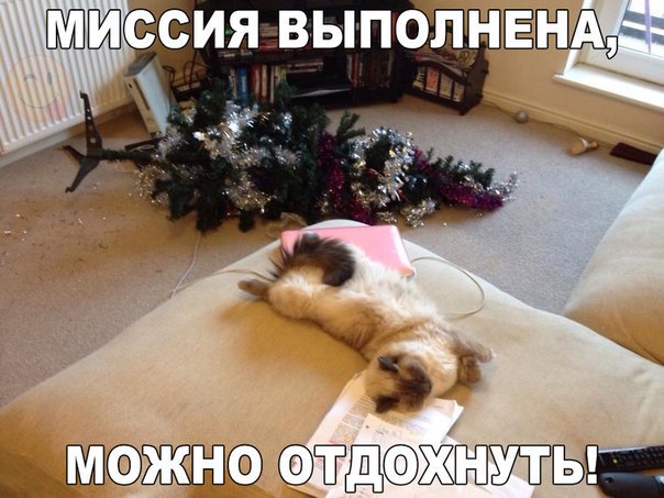       - 28  2015  18:03