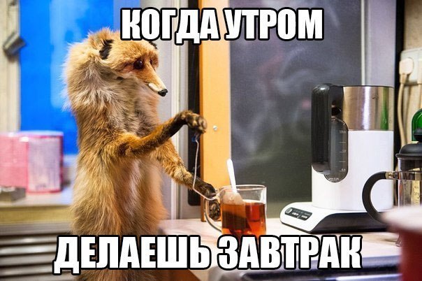 ☆   ☆ - 24  2015  12:13