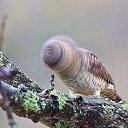 ���� �����, ����, 43 ���� - ��������� 3 ������� 2015 � ������ ������ ��������