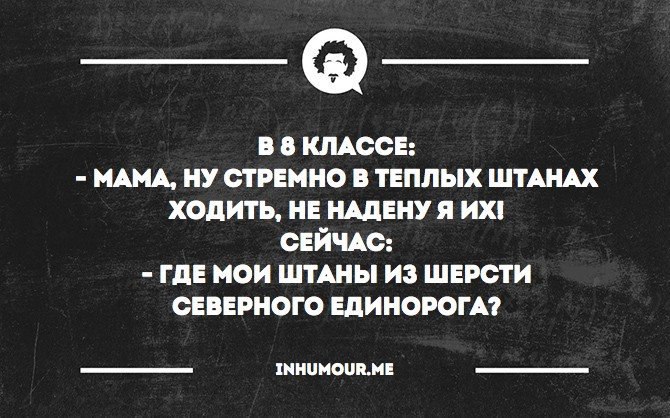 Иди носите. Где Мои штаны из шерсти Северного единорога.