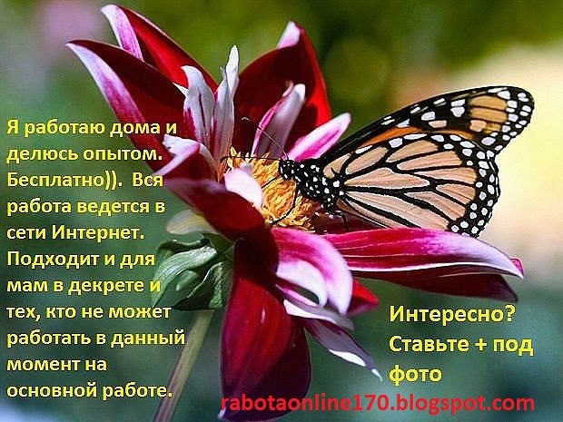 � ������� �� ����� - 3 ������� 2016 � 11:37