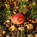 ���� ����, �����-���������, 57 ��� - ��������� 3 ������� 2015 � ������ ��������