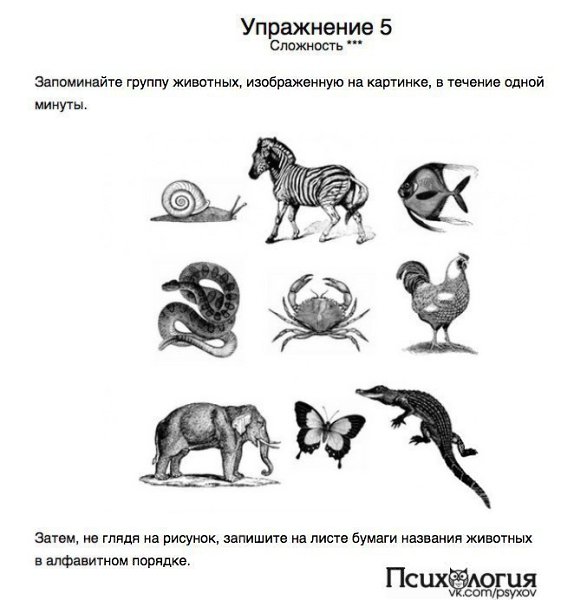 10    .C  ! - 5
