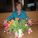 ���� ������, �����-��������� - ��������� 4 ����� 2016 � ������ ���� ����������