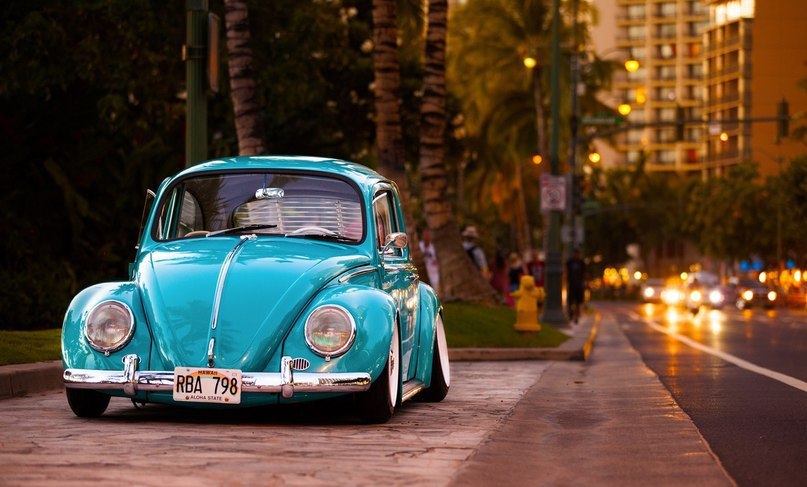 Volkswagen Beetle (Kfer).