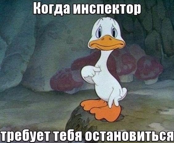    - 6  2015  09:49