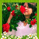 ���� �����, ������, 43 ���� - ��������� 29 �������� 2015 � ������ ���� ����������