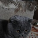  , , 49  -  6  2016      )))