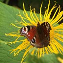 ���� ������, ������, 67 ��� - ��������� 27 �������� 2015 � ������ ������ ��������