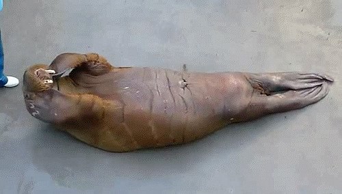 - ! - ! -  ? -  . -   ? - ,     . - ...