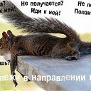 ���� ������, ������ - ��������� 18 ������� 2015 � ������ ������ ��������