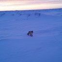 ���� ���������, �������, 68 ��� - ��������� 26 ������ 2015 � ������ ���� "����"�