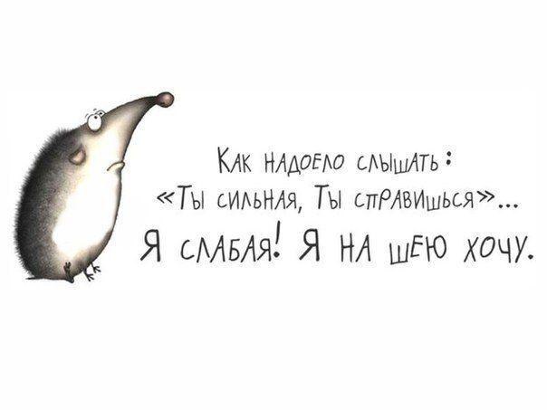   |  |  - 13  2015  10:05