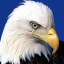 ���� �������, �����-���������, 51 ��� - ��������� 27 �������� 2015 � ������ ���� ����������