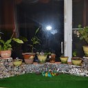 ���� �������, ������, 74 ���� - ��������� 7 ������ 2015 � ������ ���� ����������