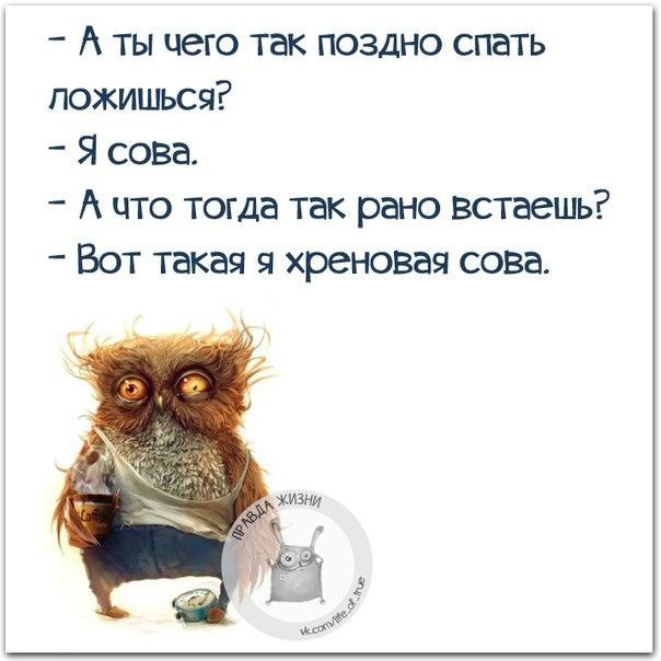   - 6  2016  10:41