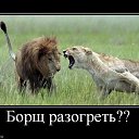 ���� ������� �������, ������ - ��������� 8 ������ 2015 � ������ ���� ����������