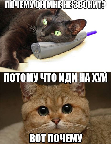 MDK - 25  2015  14:38