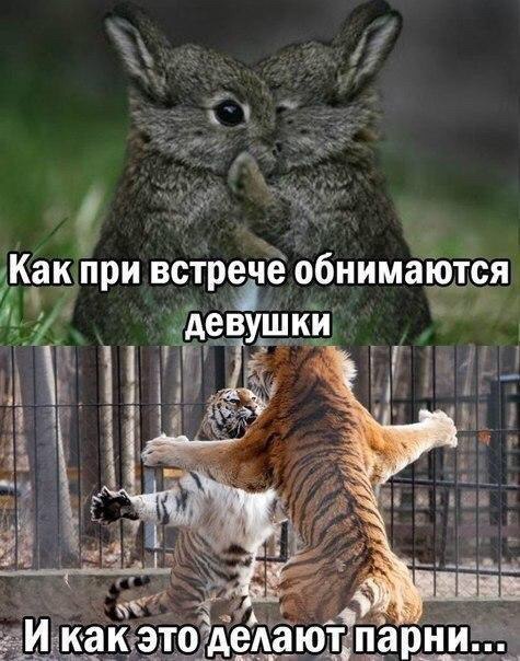 ������ ���� | ��������, �����, ������� - 15 ������ 2015 � 02:03