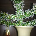 ���� Nathalie, �����-����� - ��������� 11 ������ 2016 � ������ ������ ��������