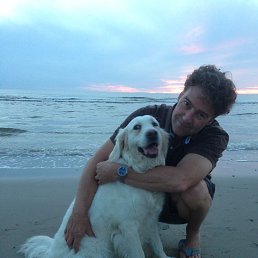  Webb, , 59  -  4  2015