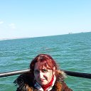 ���� ��������, �����������, 56 ��� - ��������� 1 ����� 2016 � ������ ���� ����������