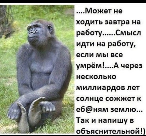 ����� � - 10 ������ 2016 � 23:14