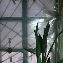 ���� �������, ��������, 57 ��� - ��������� 5 ������� 2015 � ������ ������ ��������