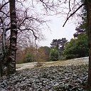  , , 60  -  29  2016     ,23.01.16.