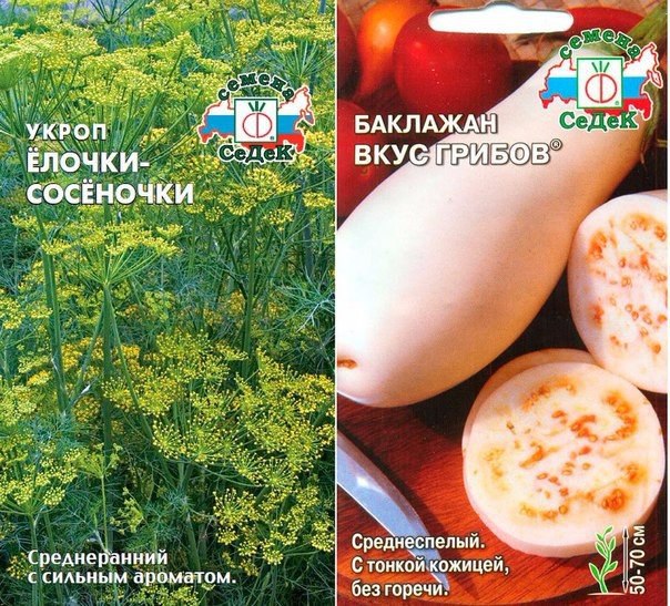 Что курят селекционеры? В этом году мне привалило счастье в виде парочки теплиц, в которые надо ... - 4