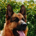 ���� ���� �� �����, ���������, 41 ��� - ��������� 2 ������� 2016 � ������ ���� ����������