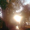 ���� �����, ���������, 44 ���� - ��������� 8 ������� 2016