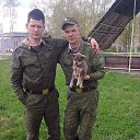 ���� ������, ����-���������, 33 ���� - ��������� 15 ������ 2015 � ������ ���� ����������