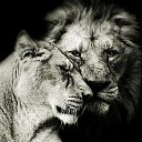 ������ � ����,������ ��� ������! �� ������� ���� ����������