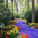 ���� �����, ��� - ��������� 20 ������ 2016 � ������ ������ ��������