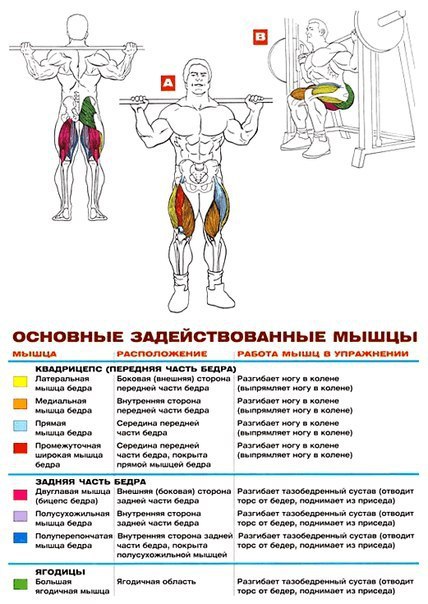 Приседания со штангой в тренажёре Смитта: Техника ... - SportFeed ...