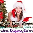 ���� � � � �, ������ - ��������� 31 ������� 2015 � ������ ������ ��������