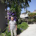  Edgard Nik., , 75  -  24  2015    2014.    