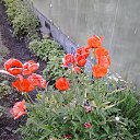 ���� �����, ������ - ��������� 1 ����� 2016 � ������ ���� ����������