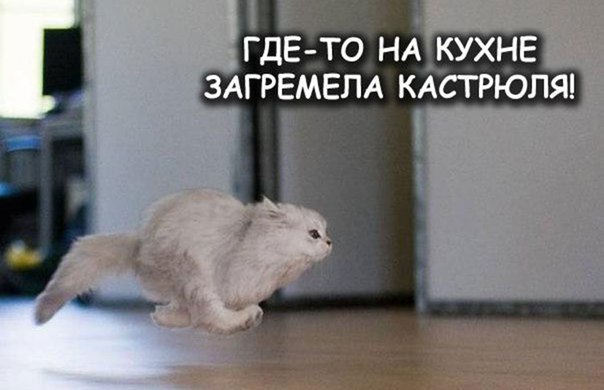   - 11  2015  05:32