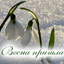 ���� ����, ����������� - ��������� 4 ����� 2016 � ������ �������� ��������